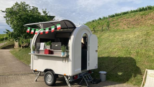 Pinsawagen