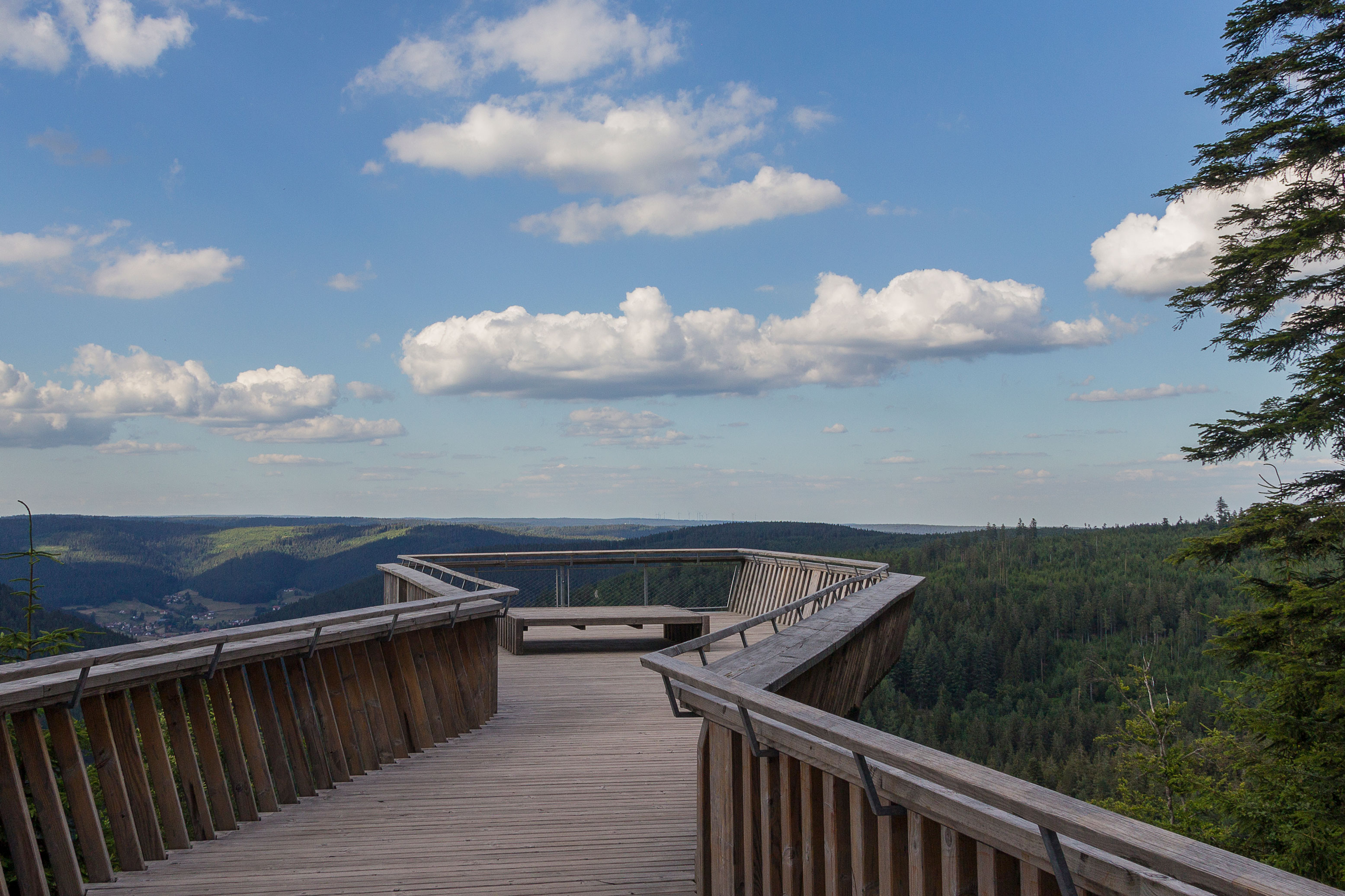 Ellbachseeblick Plattform © Fotograf: Heike Butschkus, Freudenstadt Tourismus Das Bild zeigt die Ellbachseeblick Plattform in Kniebis