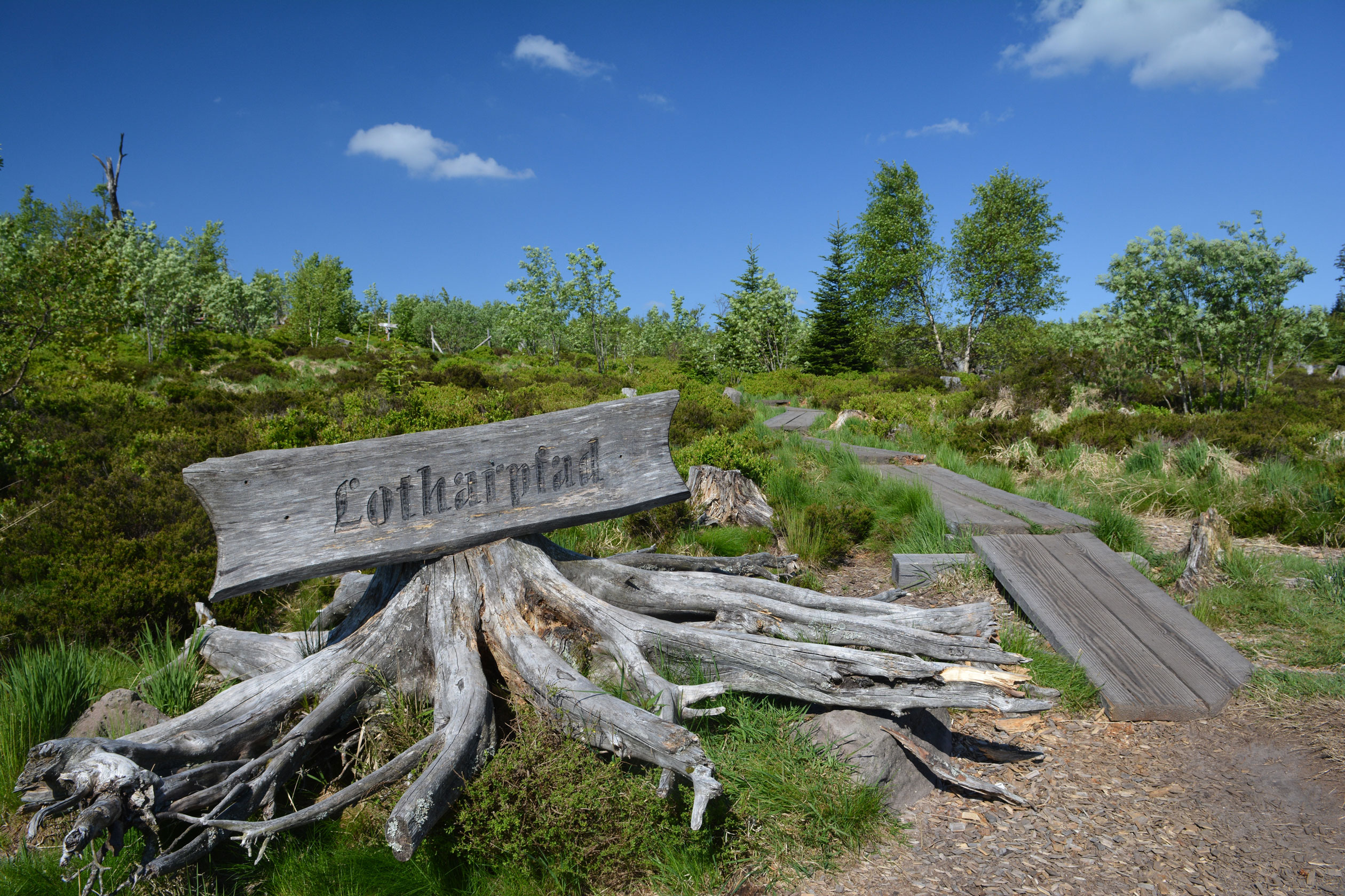 Lotharpfadschild © Fotograf: Charly Ebel, Nationalpark Schwarzwald Das Bild zeigt das Schild vom Lothardpfad