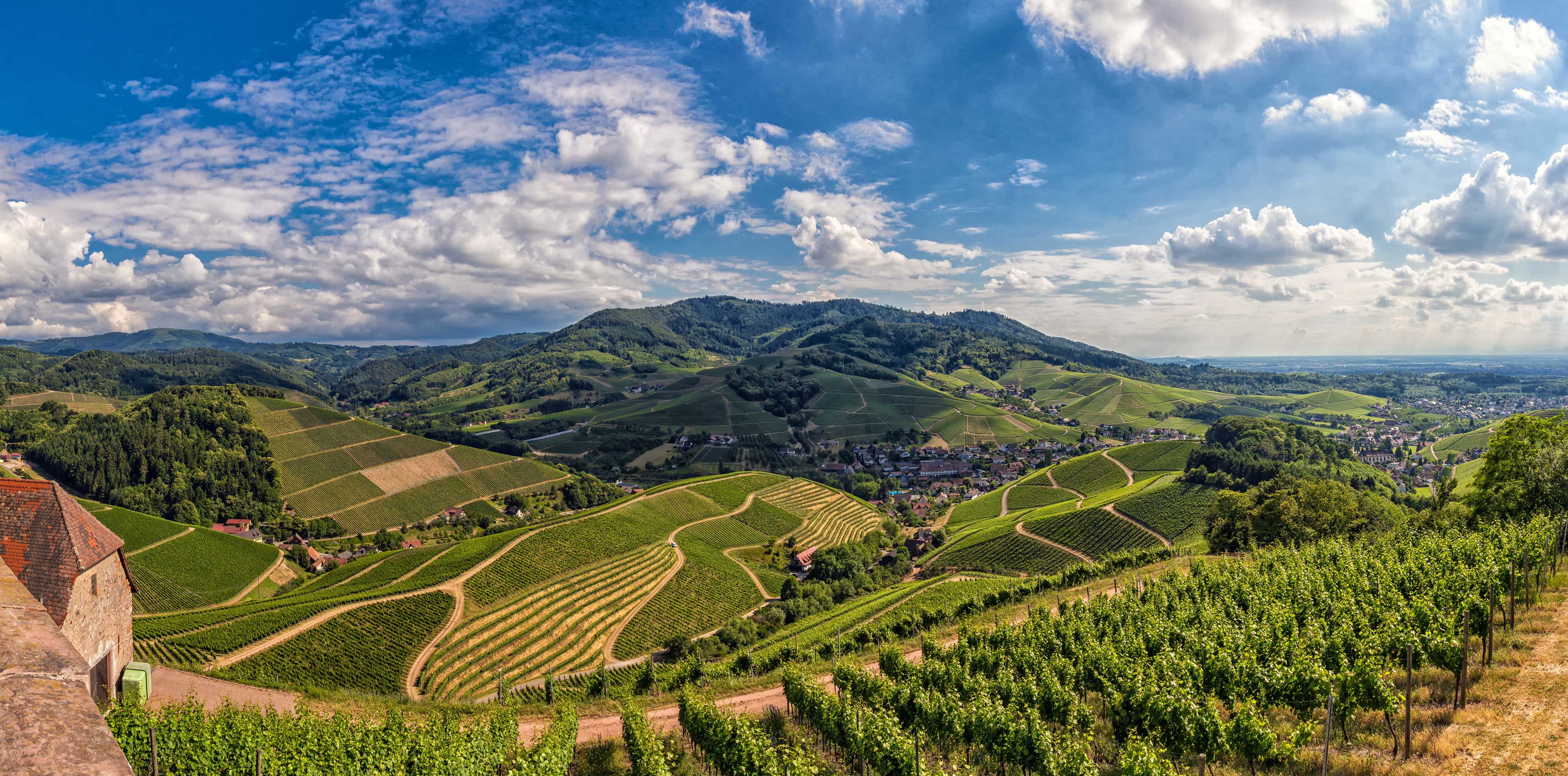 Panorama von Durbach © Fotograf: Danijel Levicki, Touristinfo Durbach Das Bild zeigt eine Panoramaaufnahme von Durbach