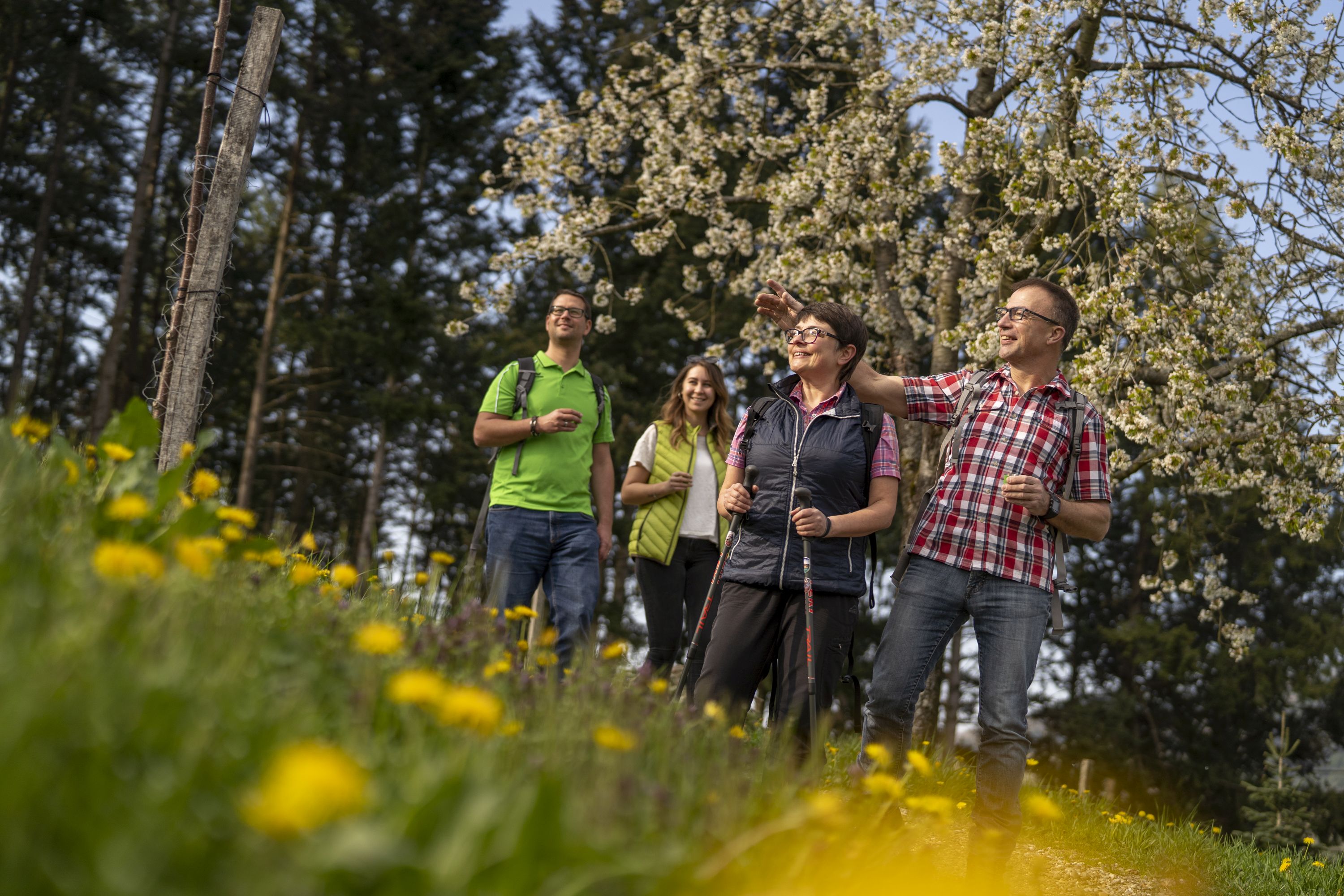 Gruppe beim Wandern zur Blütezeit