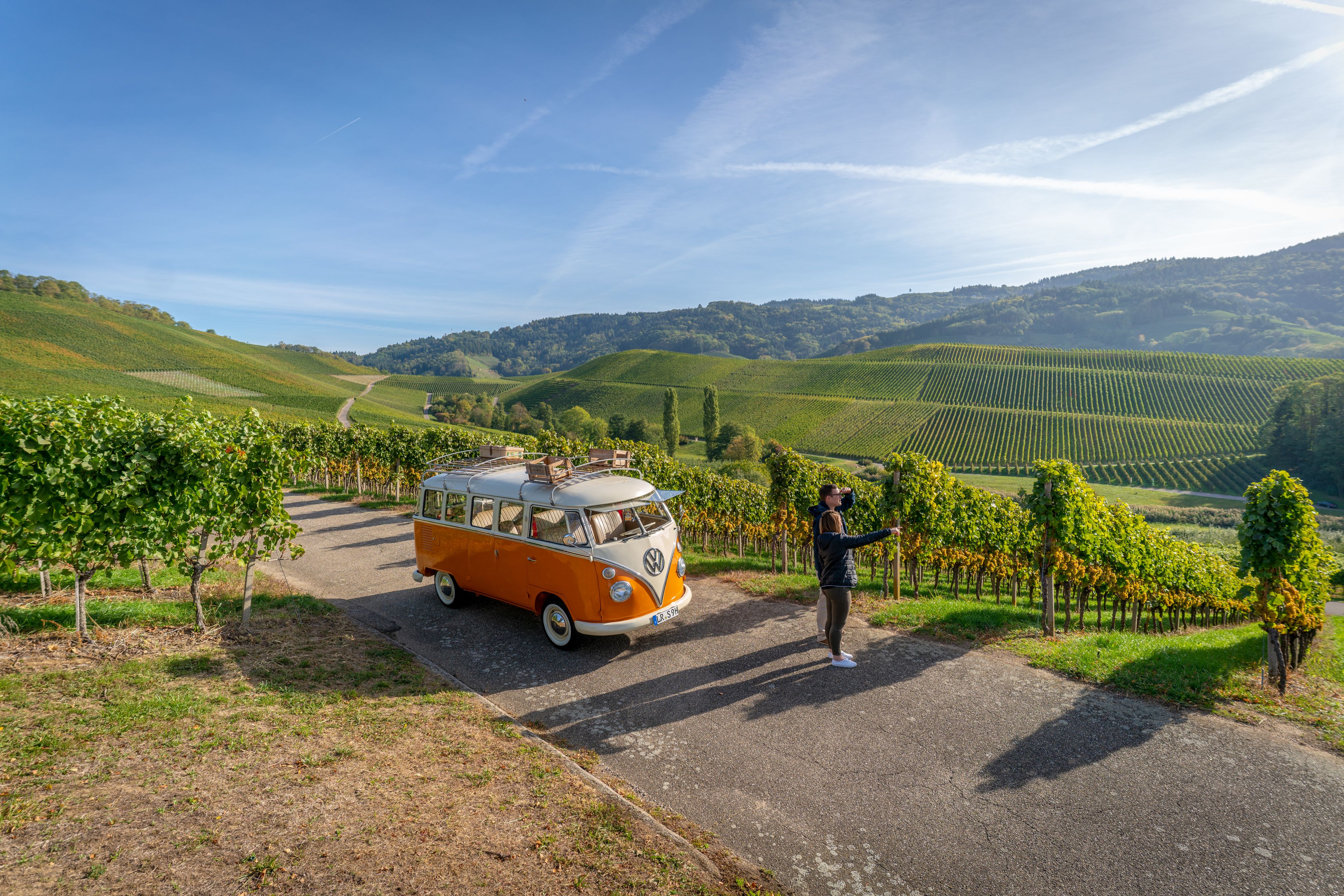Pärchen mit VW Bulli in den Weinreben mit Aussicht