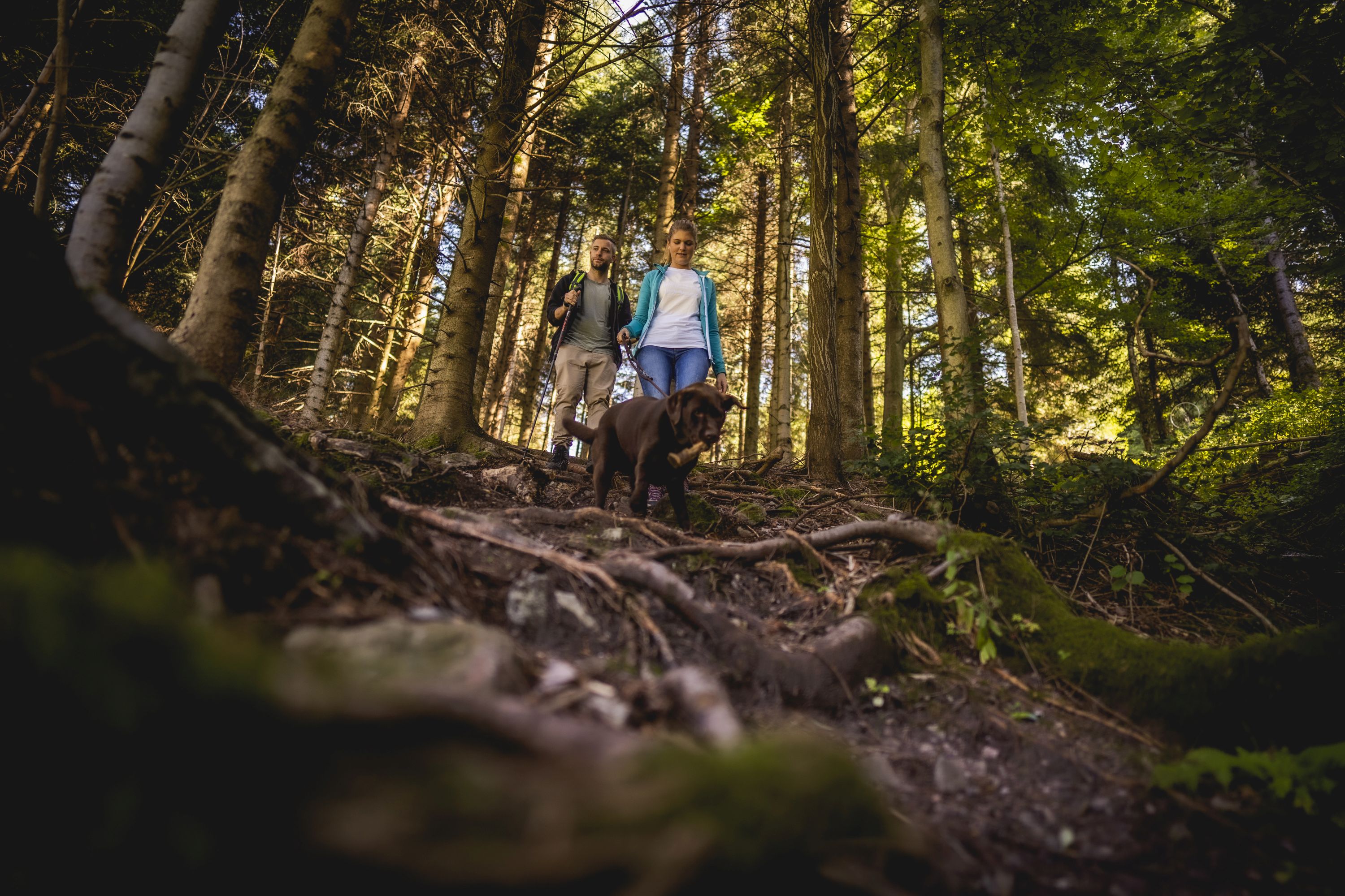 Pärchen mit Hund im Wald unterwegs