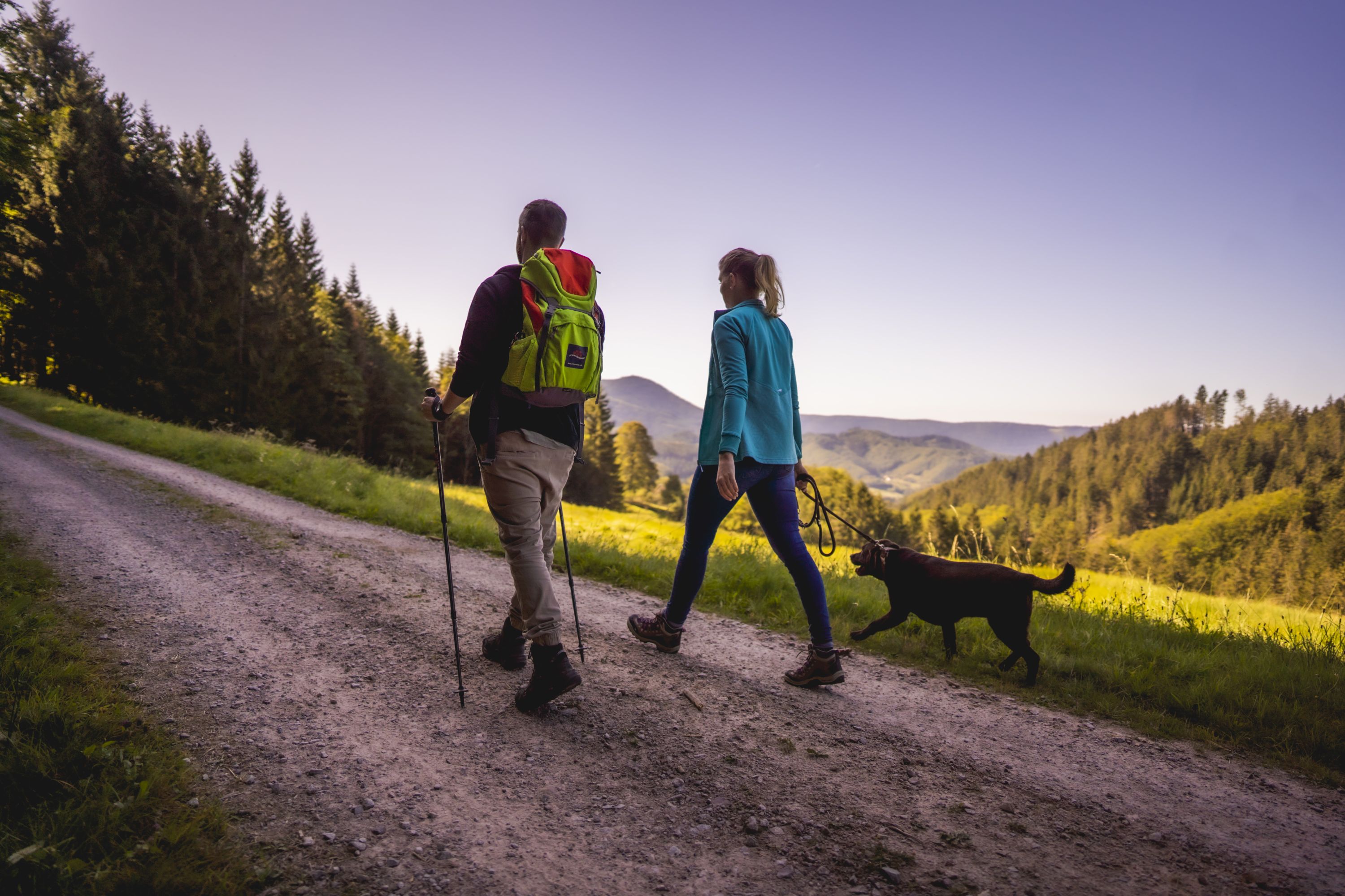 Pärchen mit Hund beim Wandern