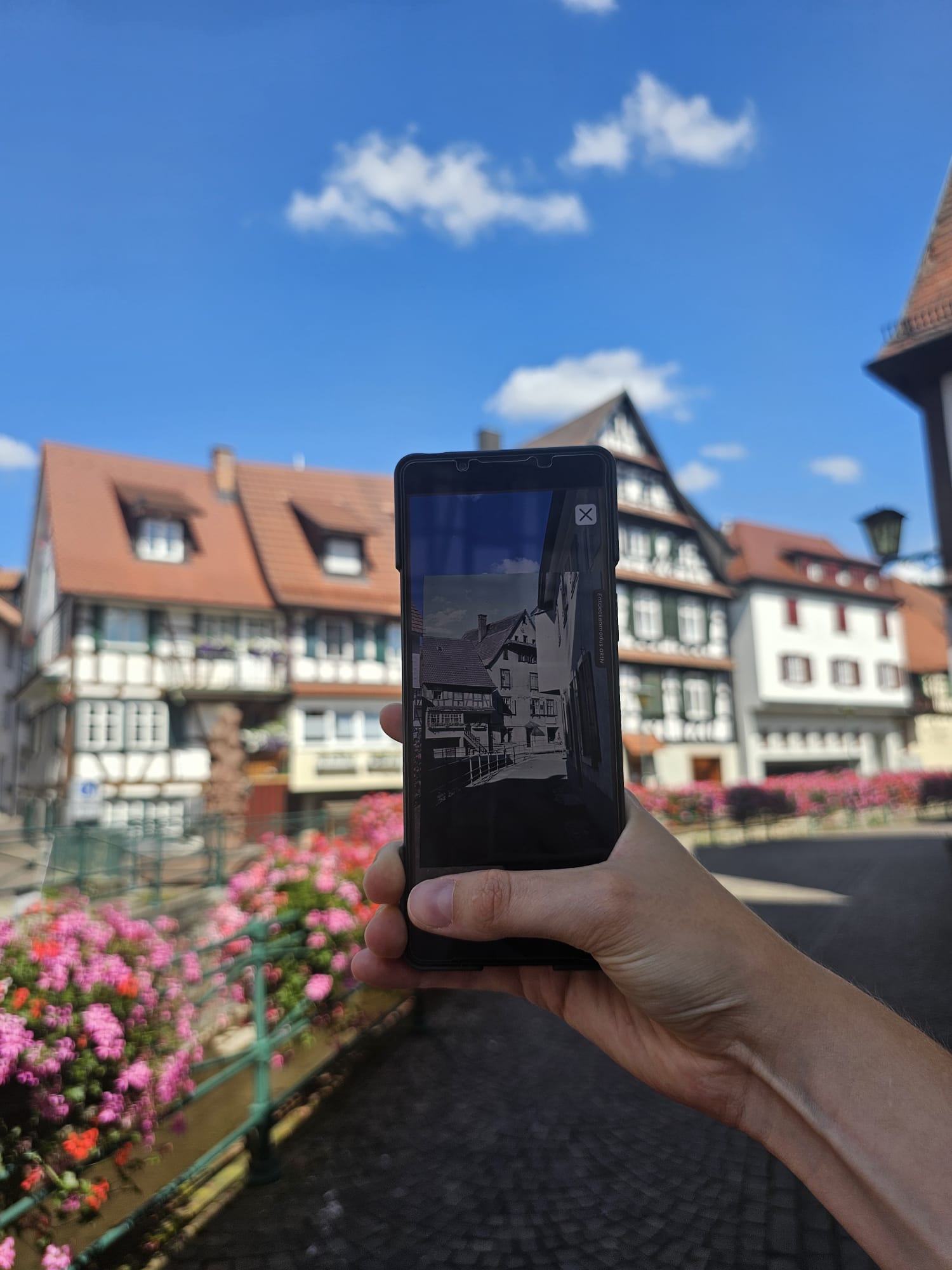Handy mit der aufgerufenen Zeigmal-App in der Oberkircher Bachanlage