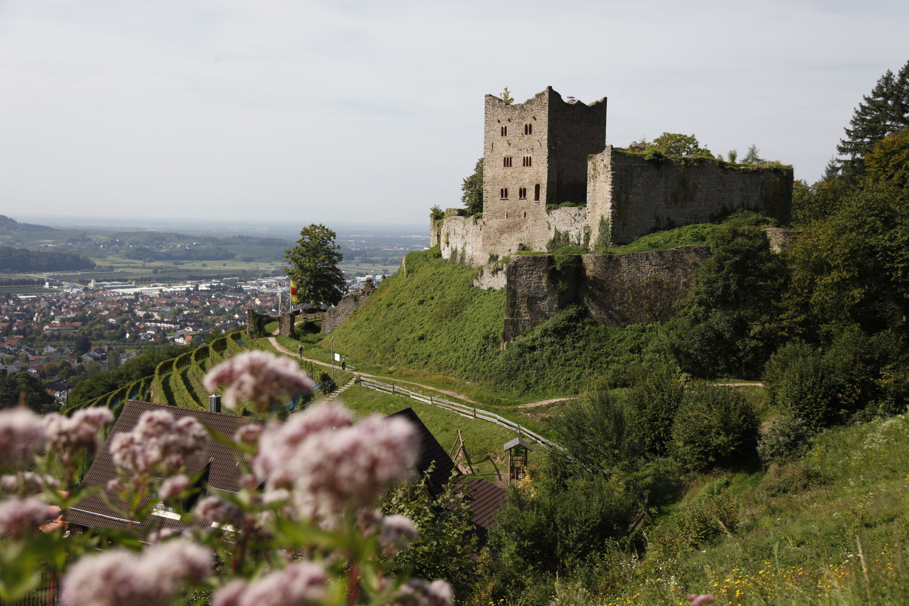 Ruine Schauenburg