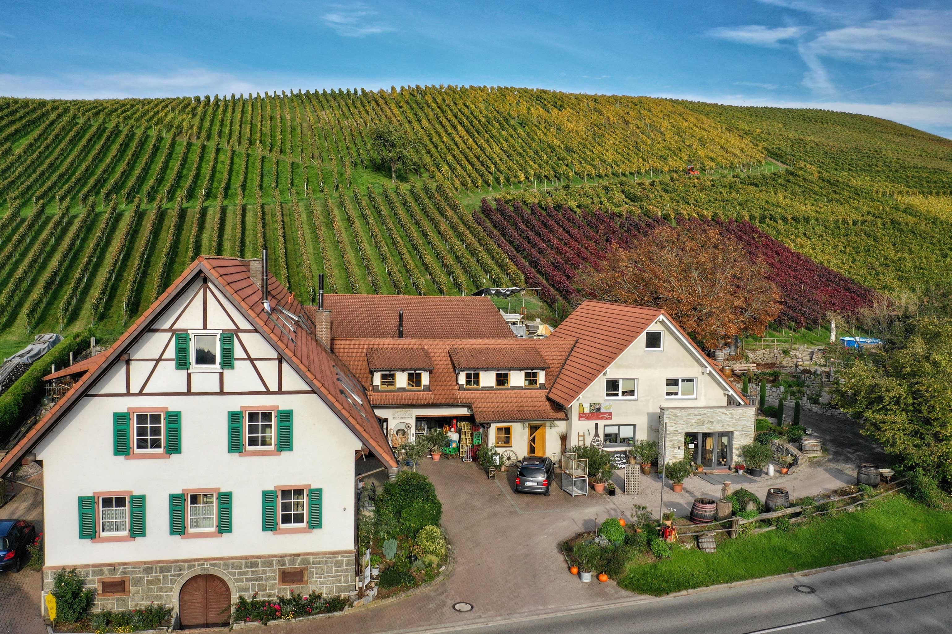 Weingut Börsig