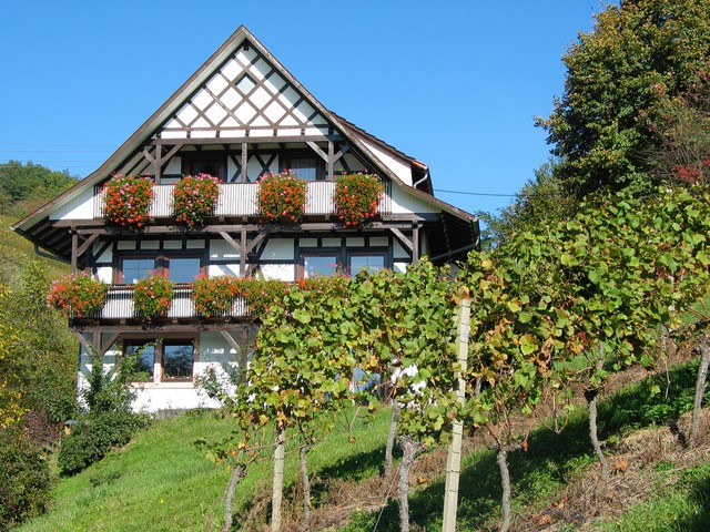 Weingut Decker