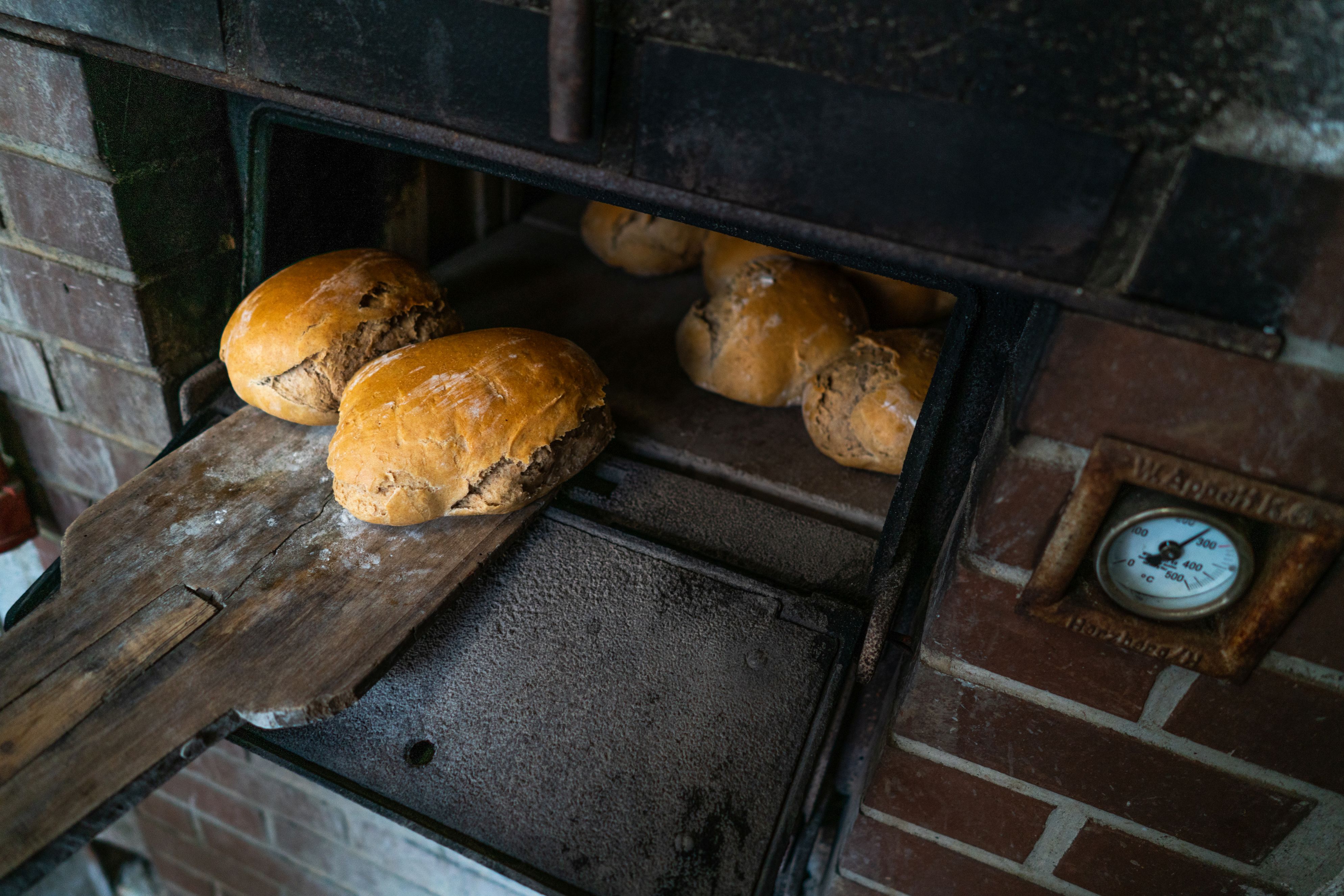 frischgebackenes Brot wird aus dem Ofen geholt