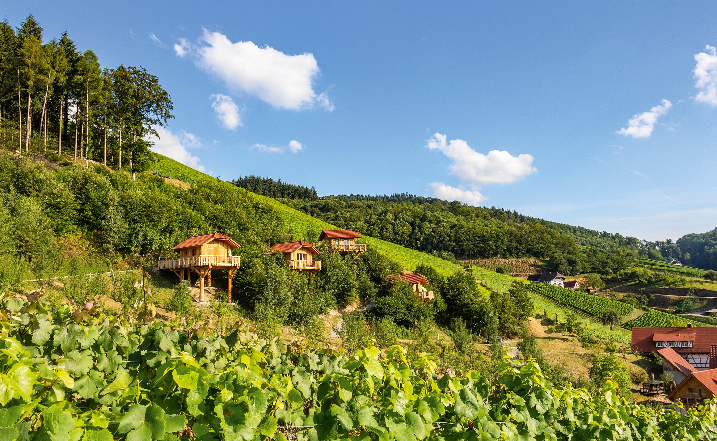 Das Bild zeigt das Baumhaushotel in Oberkich-Bottenau